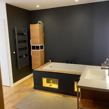 Apartment Hyper Centre Brioude